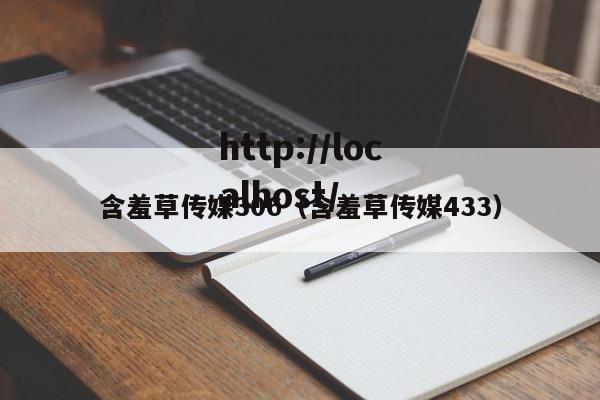 含羞草传媒306（含羞草传媒433）